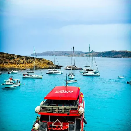 Modern Elegance V1 * Valletta