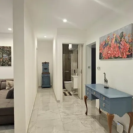 Modern Elegance V1 バレッタ