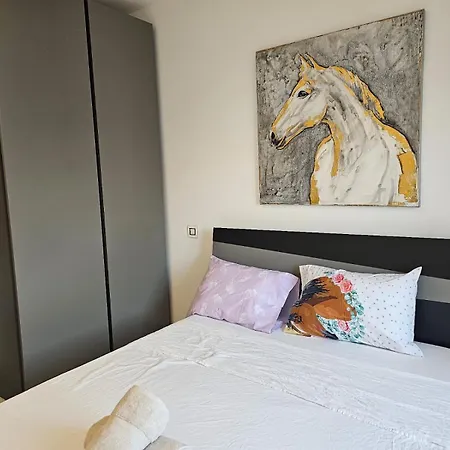 Modern Elegance V1 Apartment Valletta