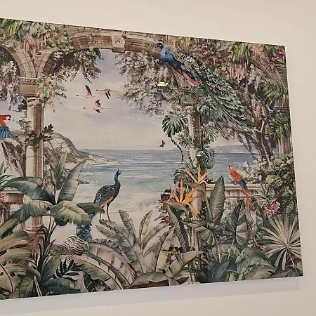 Modern Elegance V1 アパート *